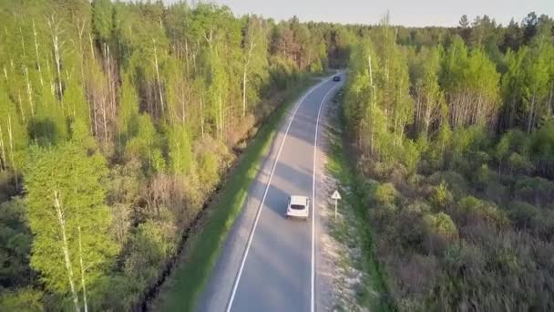 Vista aérea moderna carretera con coches entre bosque siempreverde — Vídeo de stock