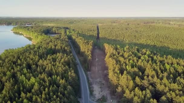 Потрясающий вид на вырубленную площадь по дороге в лесу на озере — стоковое видео