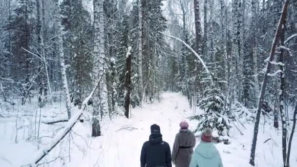Люди ходят по парку, покрытому снегом, в морозную зиму — стоковое видео