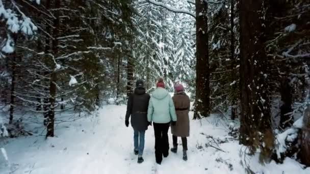 As pessoas discutem tópicos caminhando ao longo do caminho nevado na floresta — Vídeo de Stock