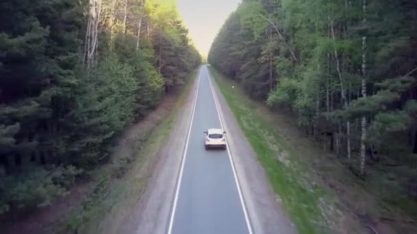 白色汽车驾驶沿柏油路在巨大的森林阴影 — 图库视频影像