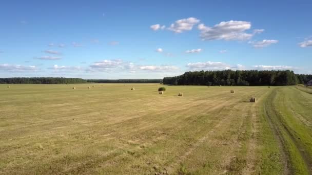 空中風景乾草収穫フォレストに対してフィールド — ストック動画