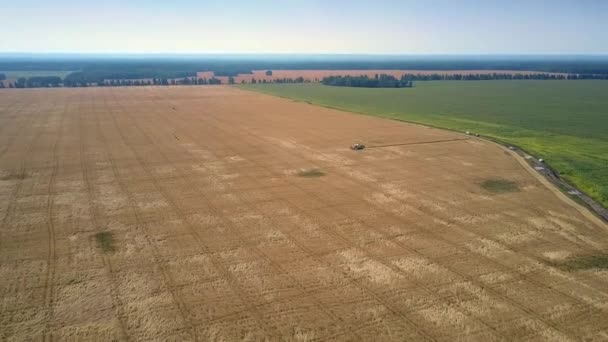 champs remplis de cultures mûres contre la belle nature rurale 