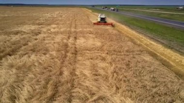 Modern hasat saman rulo bırakarak buğday alan üzerinde çalışır