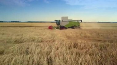 Modern hasat alanında olgun çavdar toplar yan görünümü Kapat