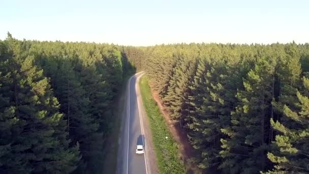 lumière du soleil voiture conduite le long de la route dans les bois de pins 