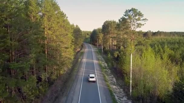 Bovenste deelvenster nieuwe snelweg met auto onder groenblijvende pines — Stockvideo