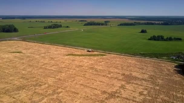 Pemandangan Panorama Yang Menakjubkan Menggabungkan Pemanen Berdiri Ladang Tanaman Matang — Stok Video