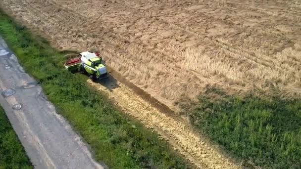 Flycam sobe sobre colheitadeira trabalhando no campo de trigo dourado — Vídeo de Stock