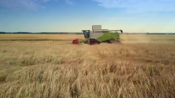 Perto vista lateral moderna colheitadeira reúne centeio maduro no campo — Vídeo de Stock