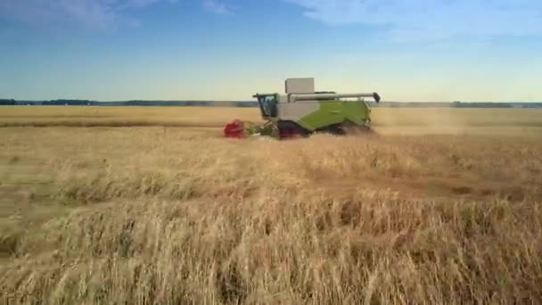 Uzavřete boční pohled, že moderní kombajn shromažďuje zralé žito v poli — Stock video