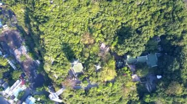havadan görünümü buddist Tapınak Dağı'nda ormanlar arasında