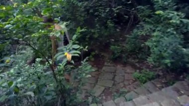 kız taş aşağı park yolu seçmek için durur gider. 