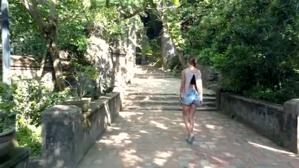 Девочка с видом сзади гуляет по широкой каменной дорожке в парке — стоковое видео