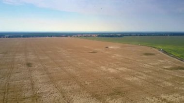 Harika havadan görünümü geniş altın buğday alanı ve açık gökyüzü karşı çalışma modern hasat