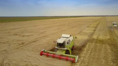 zengin çavdar kırpma toz yetiştirme alanı birleştirmek reaps görünümü Kapat