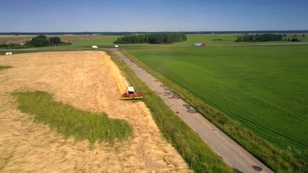 Movimiento aéreo sobre la cosecha se combinan y las personas en el campo — Vídeos de Stock