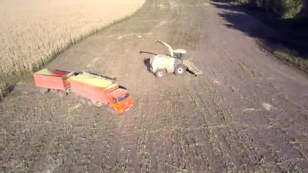 Moissonneuse-batteuse et camion tourner autour sur le champ récolté — Video