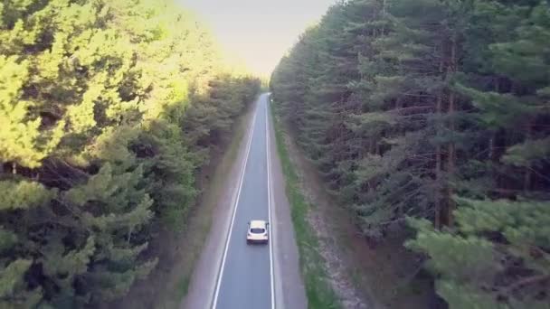 Letecký pohyb nad auto na dálnici přes hluboké borový les — Stock video