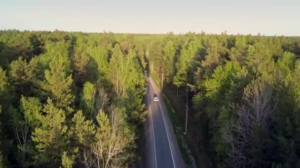 Mooie vlucht over grenzeloze bosrijke omgeving met de auto op weg — Stockvideo