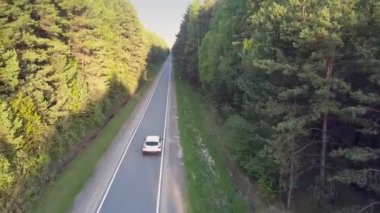 parlak güneşli orman tarafına karşı gölgeli yol boyunca araba kullanıyor