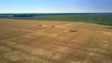 havadan görünümü sınırsız sarı yeşil alanlar ile birleştiren