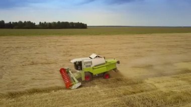 görünümü Kapat hasat toz yükselterek çavdar alanında faaliyet