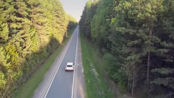 Auto rijdt langs schaduwrijke weg tegen heldere zonnige bos kant — Stockvideo