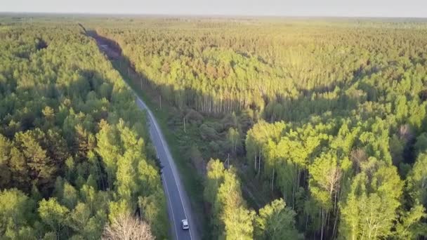 Hoge luchtfoto weg snijdt door enorme bos bij zonsondergang — Stockvideo