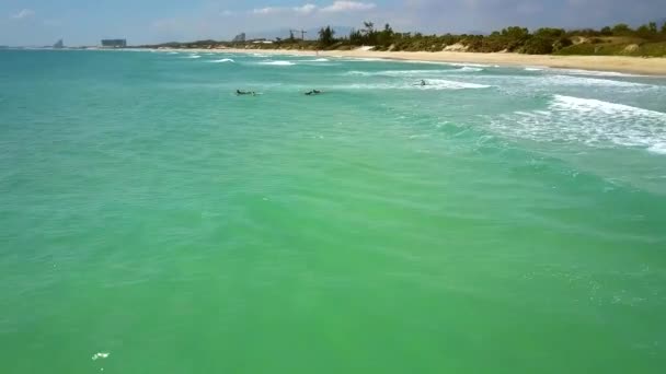 Vlucht langs ocean surf lijn boven surfers voorbij strand — Stockvideo