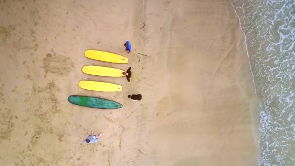 Surfista principiantes de pie cerca de tablas de surf en las olas del océano — Vídeos de Stock
