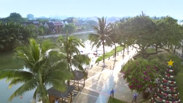 View downwads from palm tops to river waterfront — Stock Video