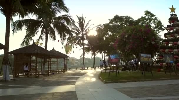 베트남 2018 셔츠에 손바닥은에 햇빛에 강변에 — 비디오