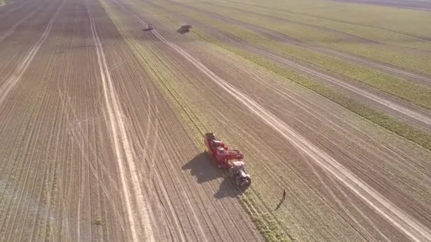 Flight around potato harvester on field on sunny day — Stock Video