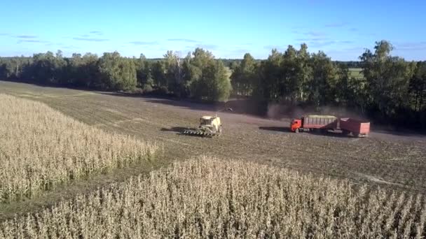 Vista superior milho combinar e caminhão descansar no campo colhido — Vídeo de Stock