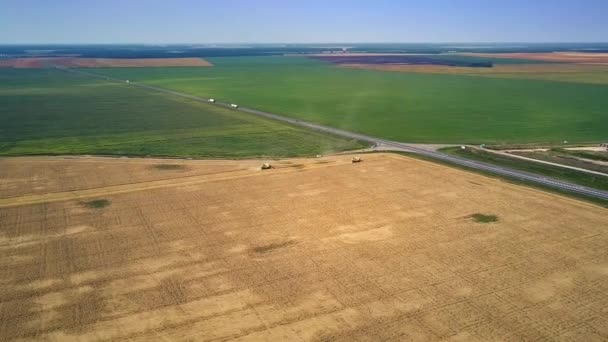 Luchtfoto grenzeloze landschap met weg Overstekende velden — Stockvideo