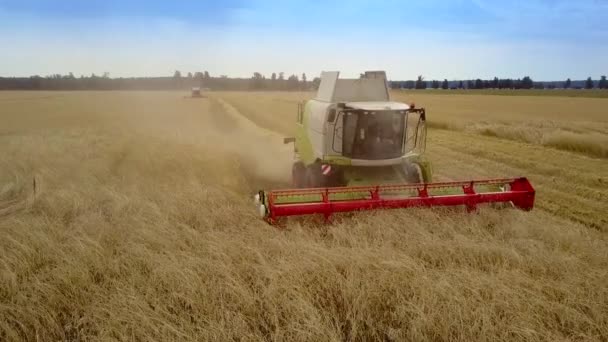 Combinar operador senta-se na cabine de vidro avançando no campo — Vídeo de Stock