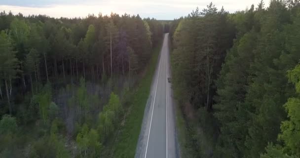 Vista superior carretera moderna vacía entre bosque siempreverde salvaje — Vídeo de stock