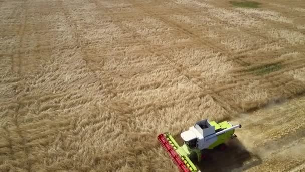 Movimento aereo intorno alla mietitrice che lavora sul campo di grano dorato — Video Stock