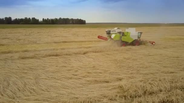 Movimiento aéreo a la cosechadora que opera en el campo de trigo — Vídeos de Stock