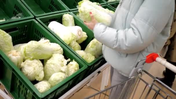 Close view woman in jacket chooses fresh Chinese cabbage — Stock Video