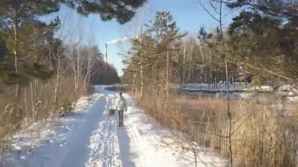 Horní zadek dívka s Twigger procházky podél zimní dřevo — Stock video