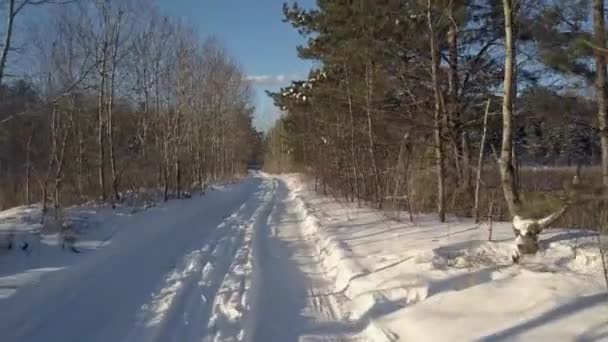 Aerial motion above empty rural road in winter forest — Stock video