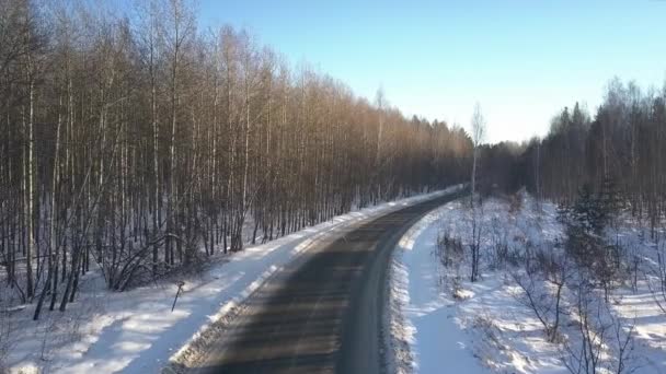 Aerial motion above empty road among naked winter wood — Stock Video