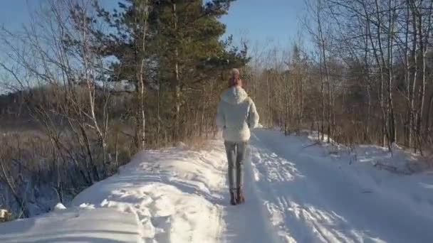 Menina traseira aérea caminha ao longo da estrada na floresta de inverno — Vídeo de Stock