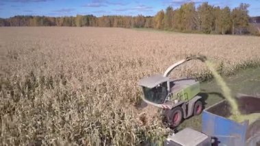 traktör kamyon ile Mısır toplar açık üst görünümü Kapat kitle