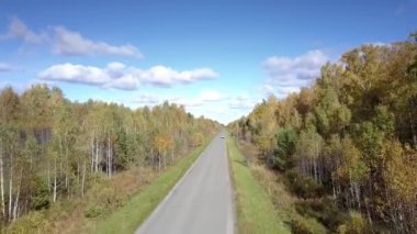 güzel hava görünümünü Sarı huş ormanlar ve uzak araba yolda 