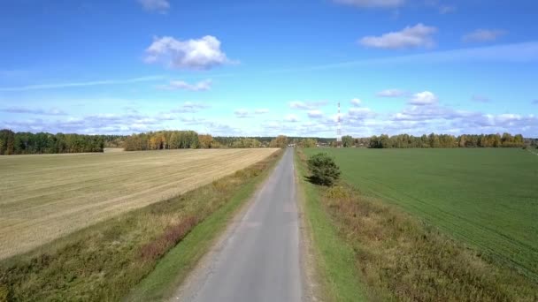 Camera sorge sopra la strada tra i campi contro il cielo blu — Video Stock