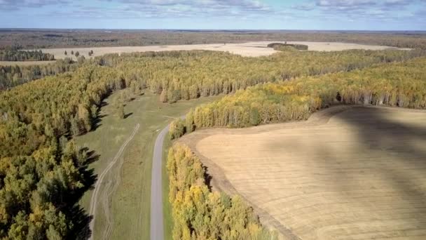 Luftaufnahme abgeerntetes Feld mit Wolkenschattenstraße im Wald — Stockvideo