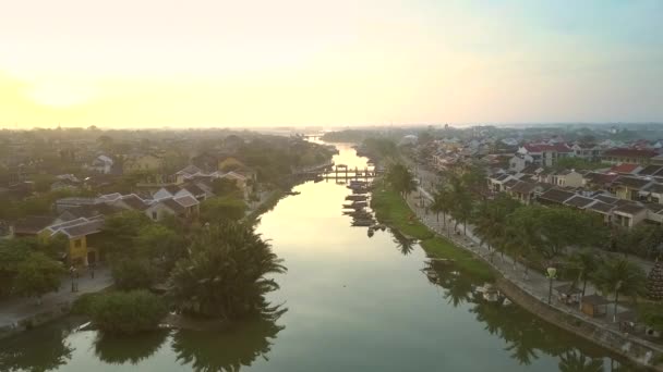 새벽에 진정 강 표면에 반영 하는 손바닥 — 비디오